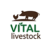 Vital Livestock