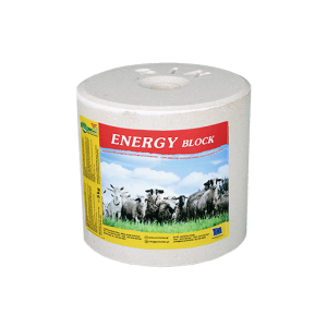 ENERGY BLOCK