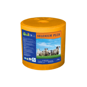 SELENIUM PLUS