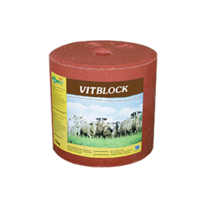 VITBLOCK