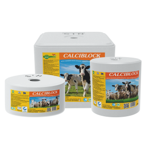 CALCIBLOCK