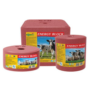 ENERGY BLOCK