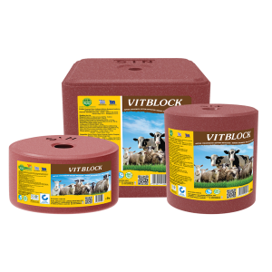 VITBLOCK