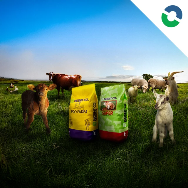 🐄🐑🐐 Továbbra is elérhetőek borjú, bárány és gida tápjaink, koncentrátumjaink és premixeink! 🥣🌾

📜 A címkéken receptajánlatokat is találtok, de ha egyedit szeretnétek, az sem probléma! 💡
📞 Keressetek meg minket vagy partnereinket, és elkészítjük a személyre szabott receptet – térítésmentesen! 🧑‍🌾📝

📦 Feltöltöttük készleteinket:
🐏 Tejelő birka és 🐐 kecske tápokkal
🐂 És természetesen a megszokott hízómarha koncentrátummal is!

🛒 Vegyétek, vigyétek! 😊

⬆️Linkek a BIO-ban!⬆️

📞 Elérhetőségeink:
📲 | +36 20 946 7615
🌐 | www.vitacarbkft.com

🔖 #csirke #tehén #malac #kérődző #baromfi #sertés #premix #koncentrátum #takarmány #vitacarb #patentco #pulyka #gmofree #egészség #kacsa #liba #duck #ducks #goose #geese #tyúk #tojás #vitamin #vitamins #birka #juh #kecske #toxinkötő 🚜🌿
